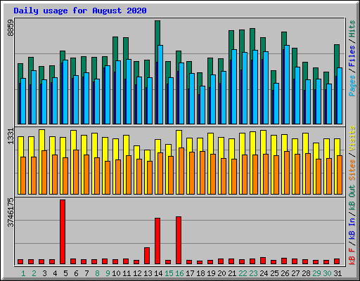 Daily usage for August 2020