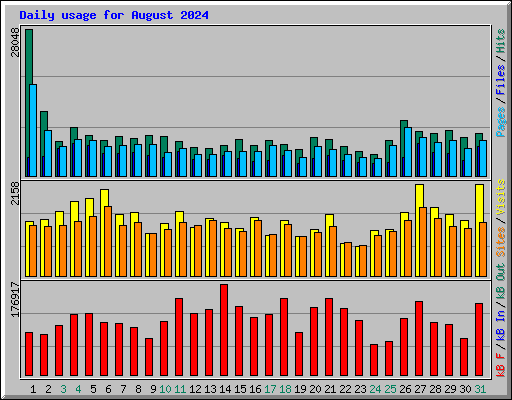 Daily usage for August 2024