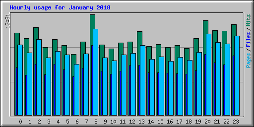 Hourly usage for January 2018