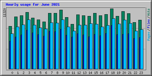 Hourly usage for June 2021