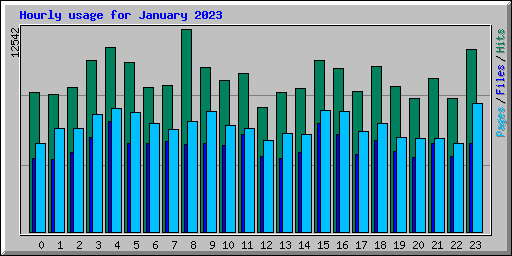 Hourly usage for January 2023