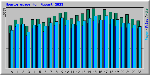 Hourly usage for August 2023