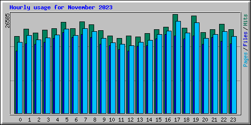 Hourly usage for November 2023