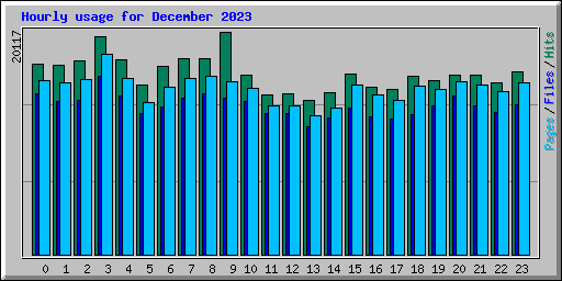 Hourly usage for December 2023