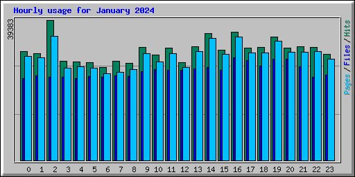 Hourly usage for January 2024
