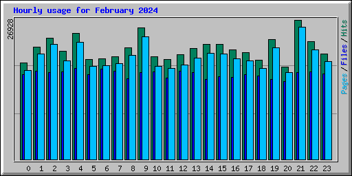 Hourly usage for February 2024