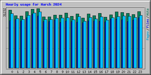 Hourly usage for March 2024