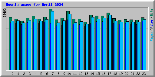 Hourly usage for April 2024