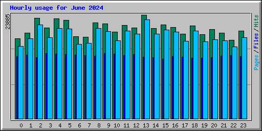 Hourly usage for June 2024