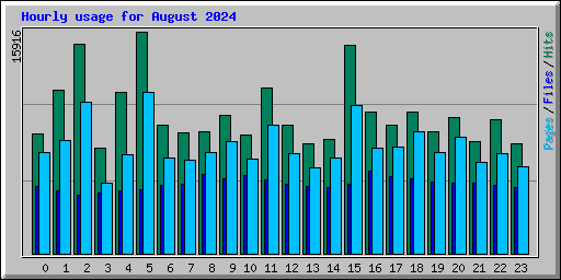 Hourly usage for August 2024