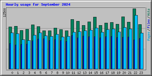 Hourly usage for September 2024