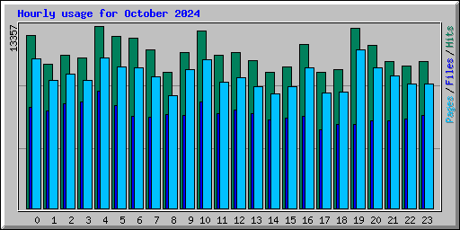 Hourly usage for October 2024